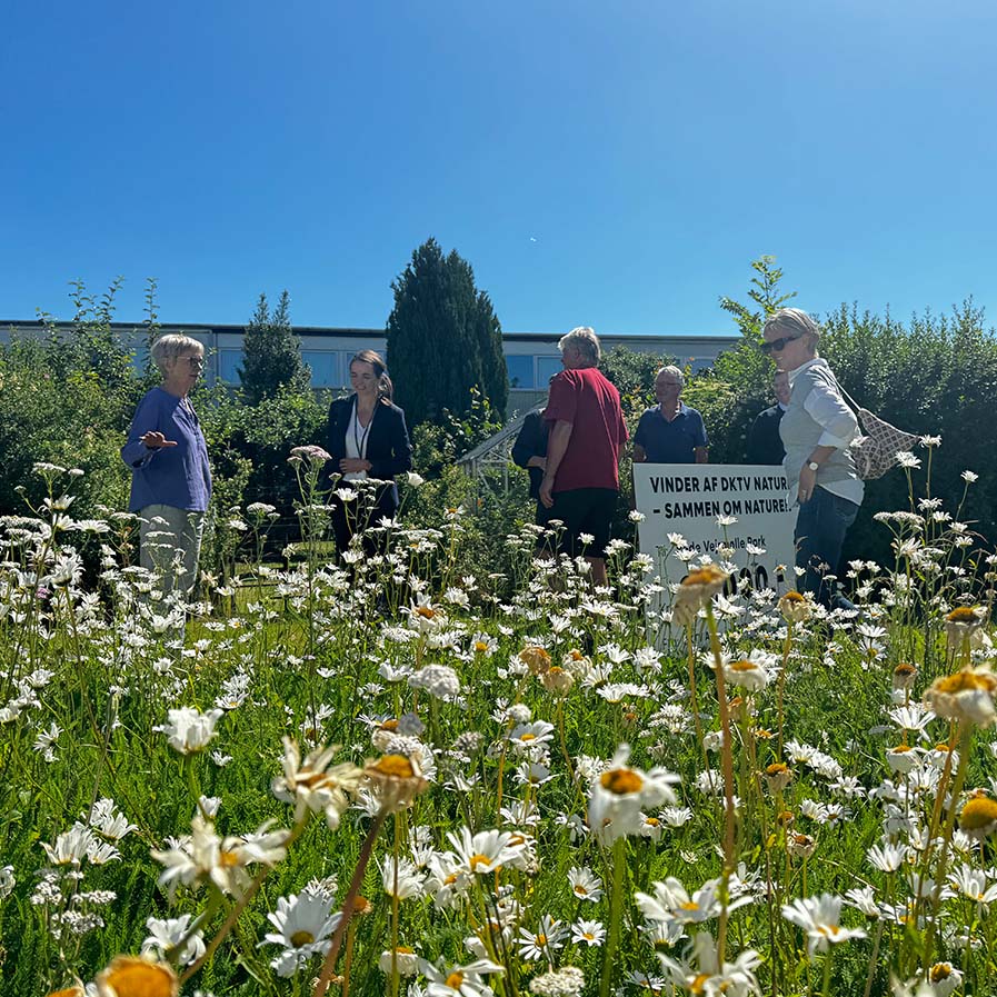 Dktvs Naturpris Sammen Om Naturen