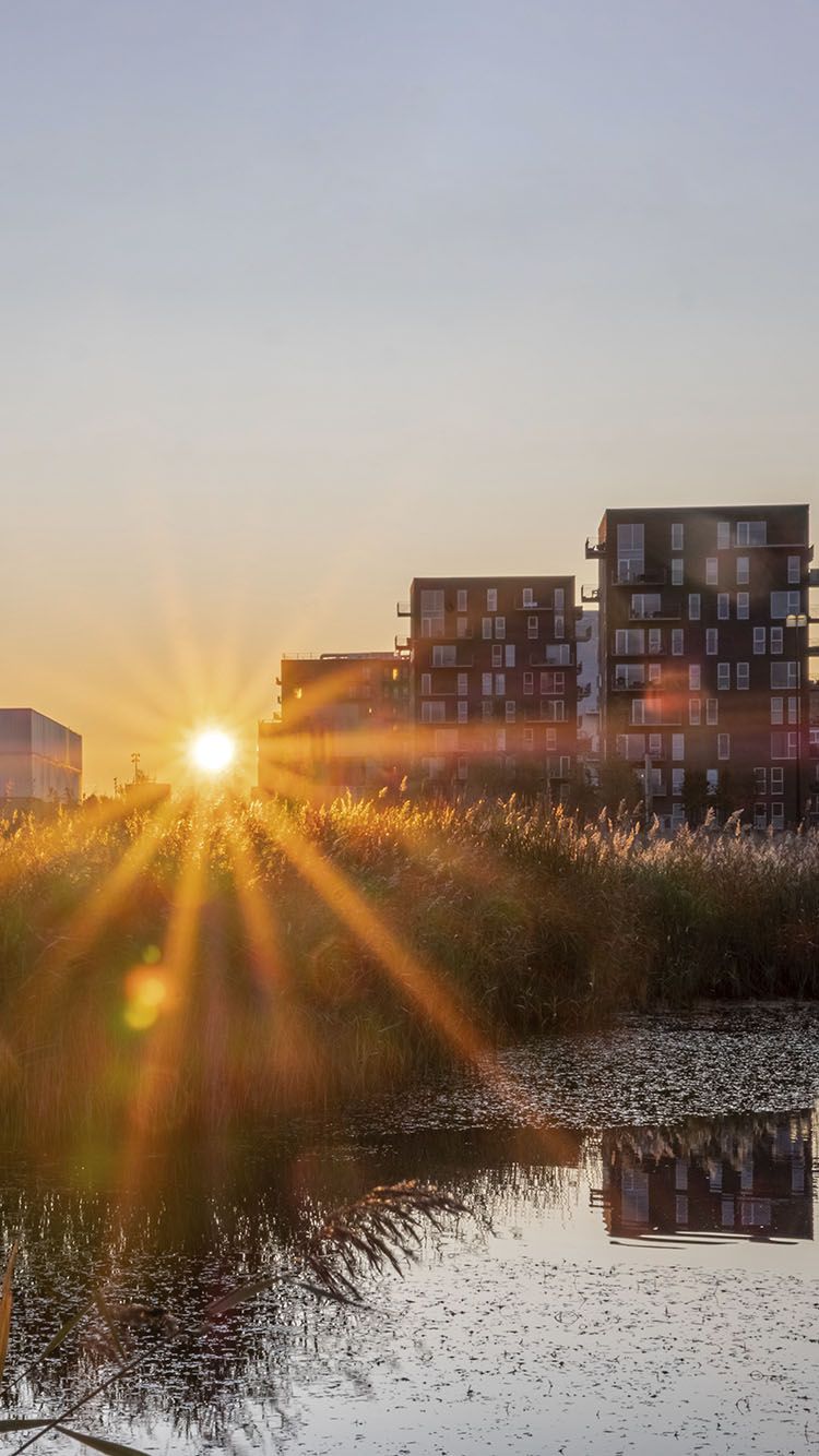 Fibernet Til Boligforeningen Gratis Mobil