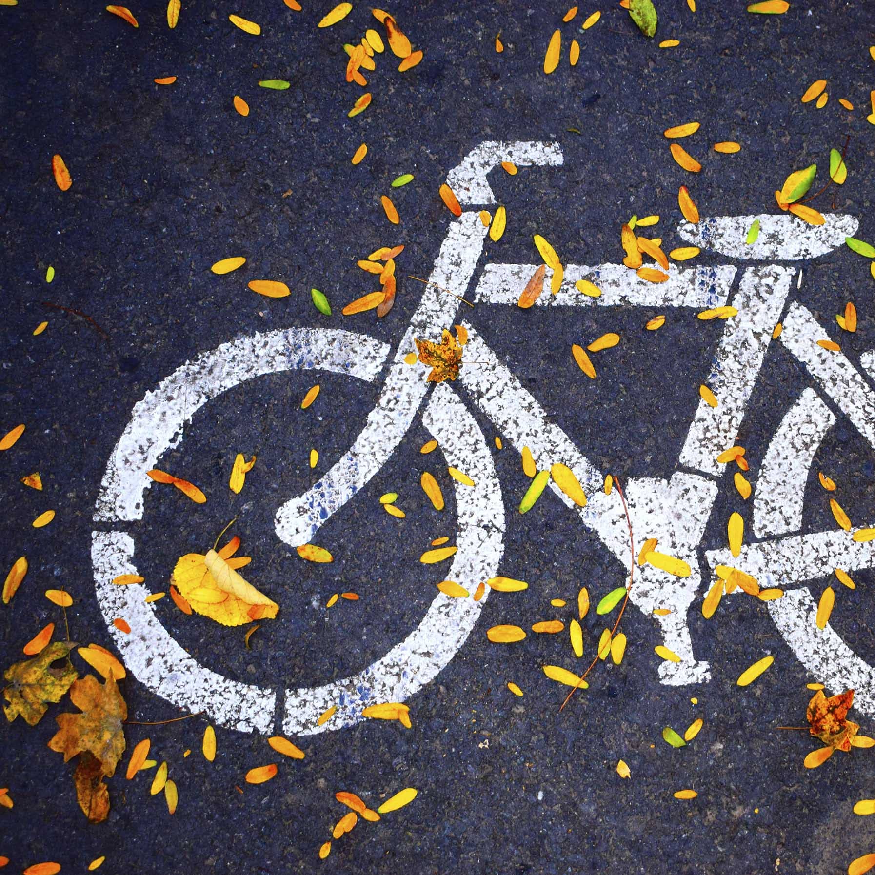 Cyklende Teknikere Dktv Co2 Klimarejsen