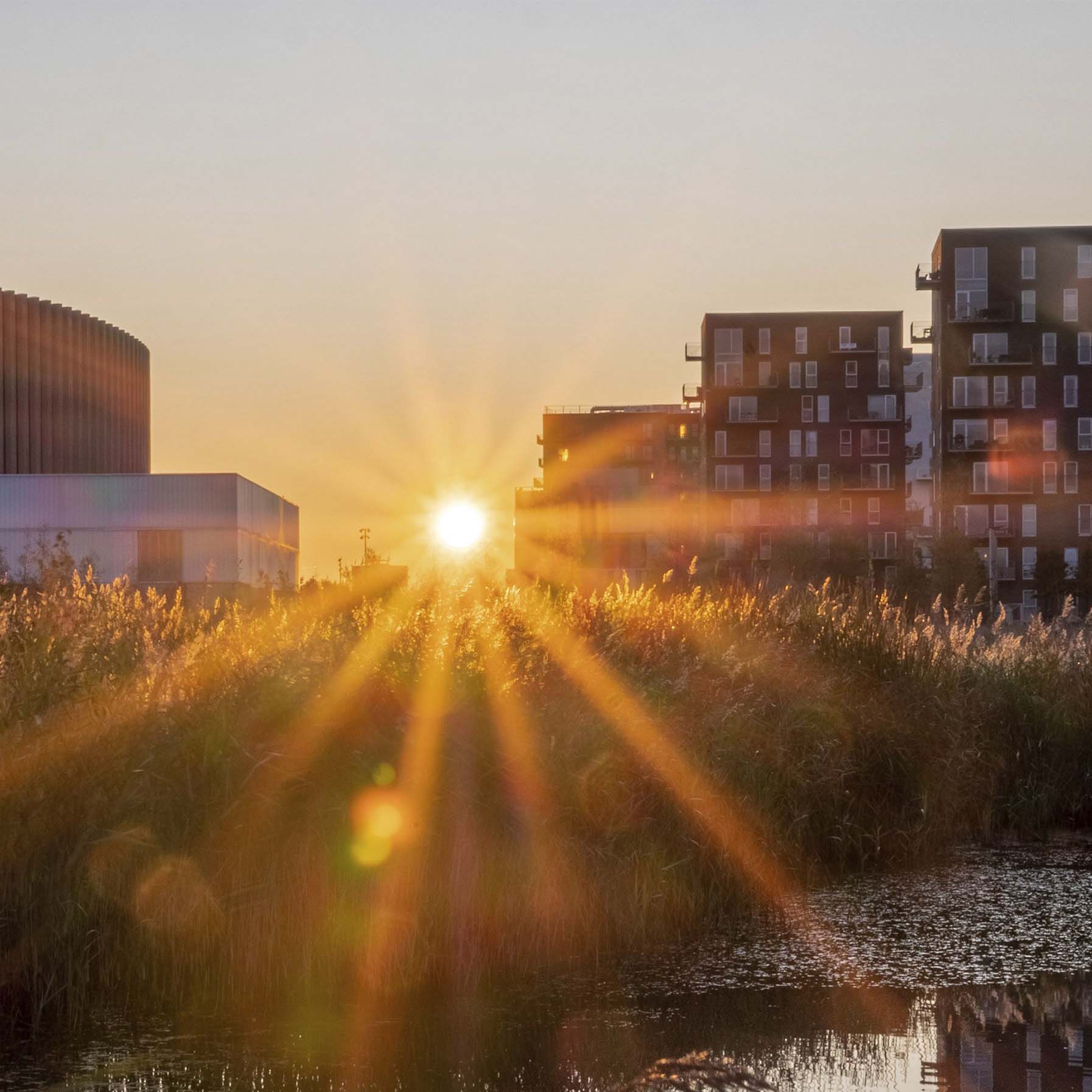 Sol Over Ørestaden Royal Arena