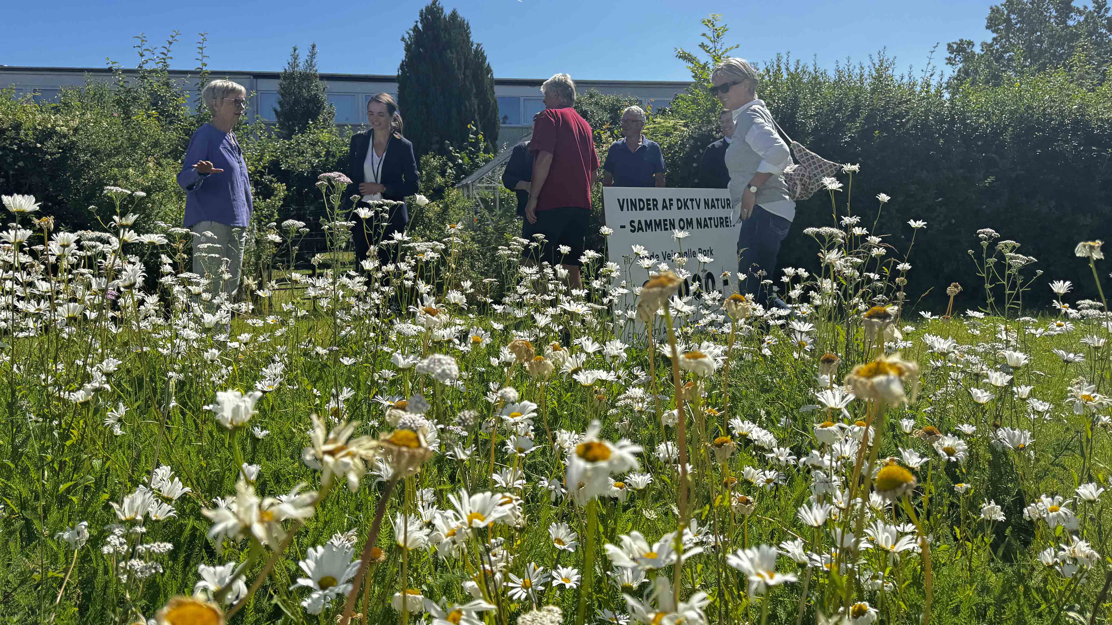 DKTV Genbesøger Røde Vejrmølle Parken