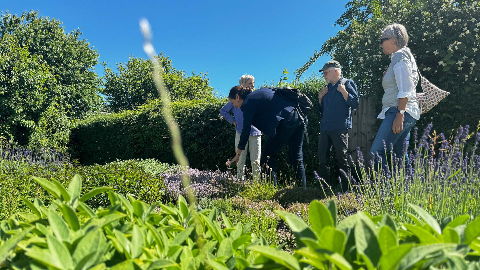 Naturpris Vinder 2024 Røde Vejrmølle Park Bed High