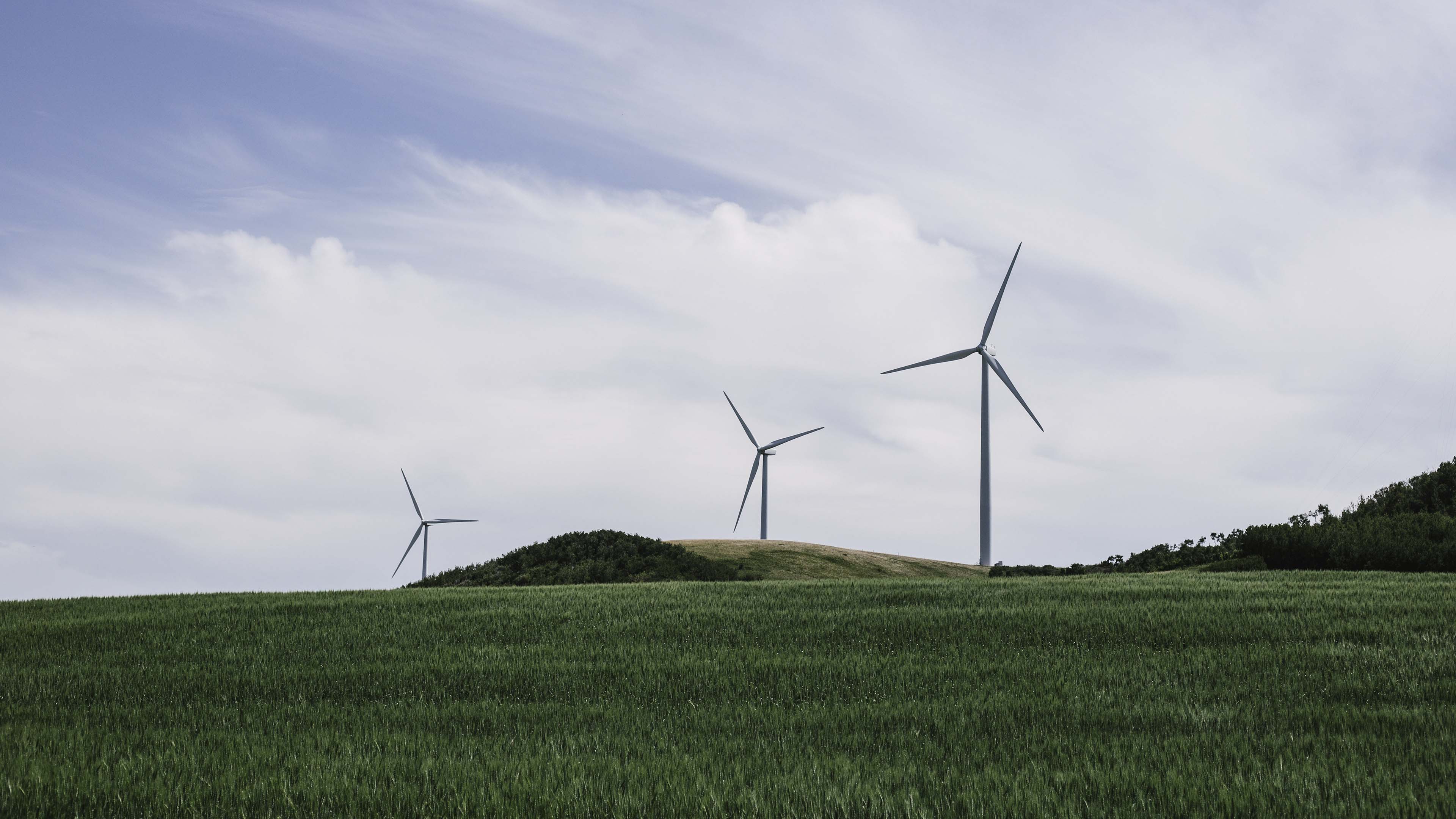 Blog På Vej Mod Grøn Omstilling