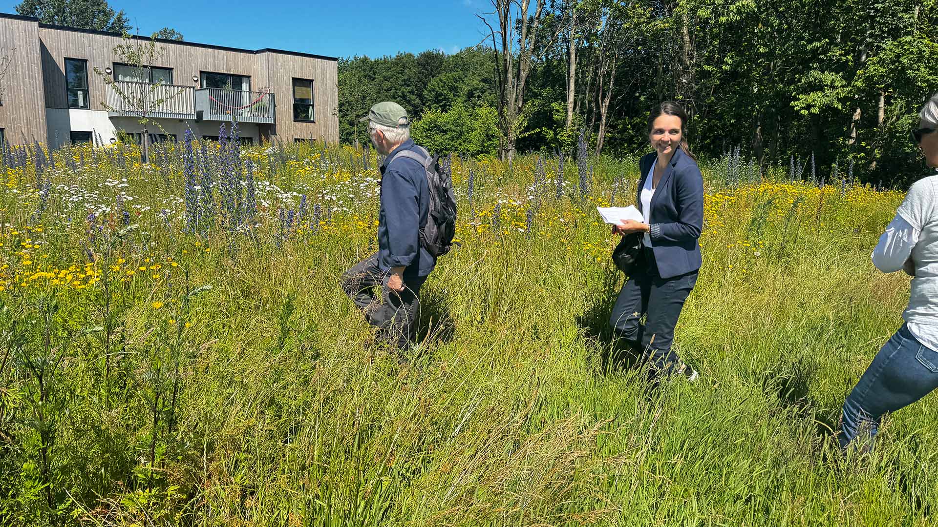 Naturpris Vinder 2024 Røde Vejrmølle Park Mark