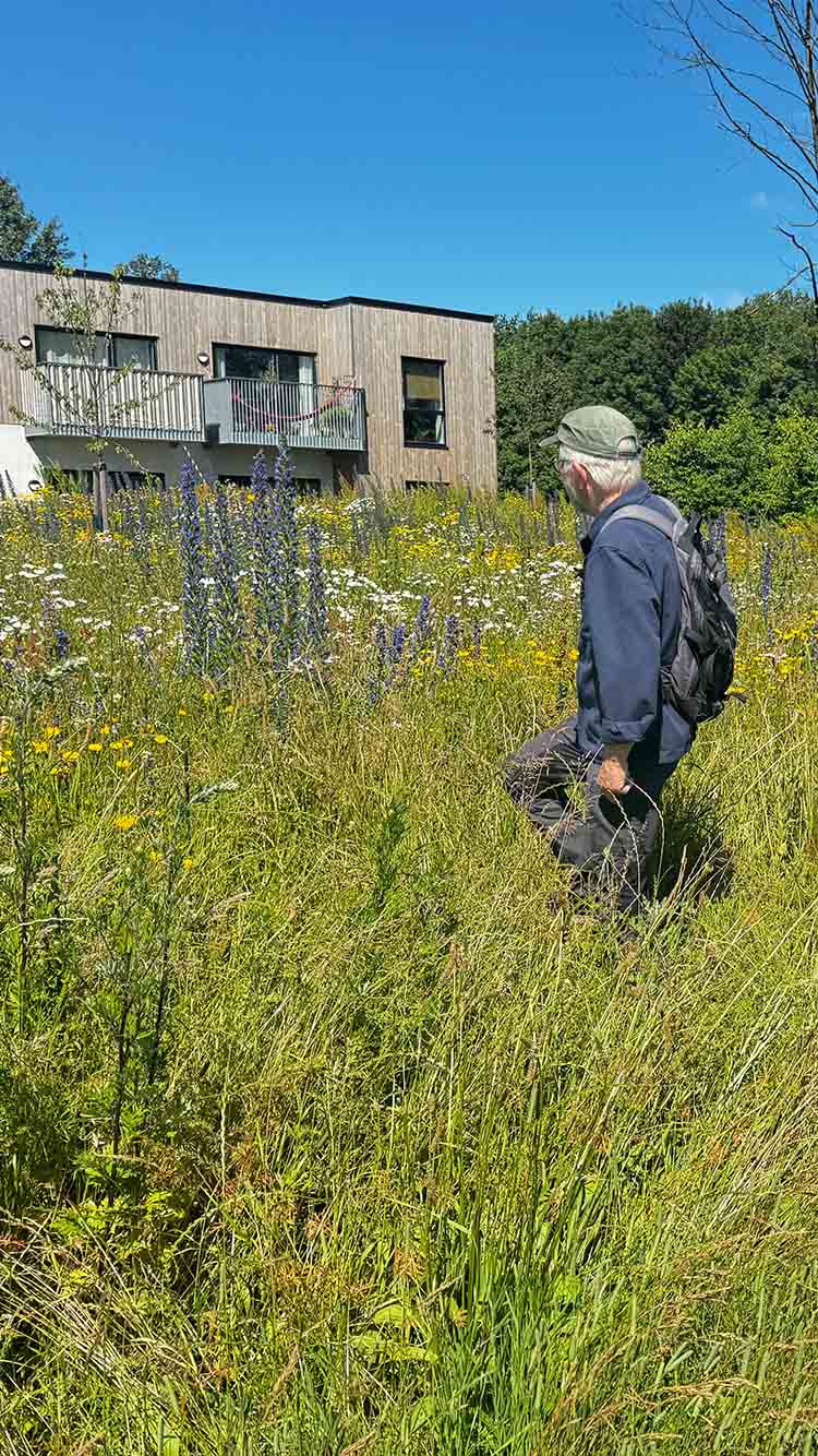 Naturpris Vinder 2024 Røde Vejrmølle Park Mark Mobil